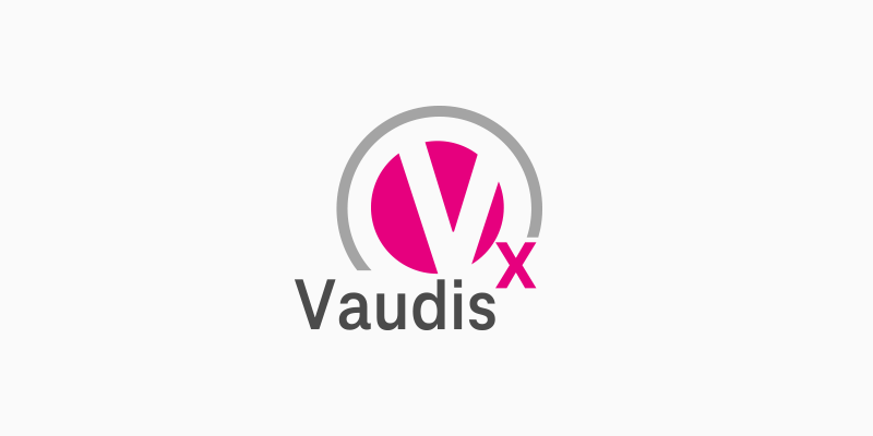 vaudisx-Schnittstelle